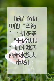 藏在鱼缸里的“蓝海”：拼多多“千亿扶持”加速激活西部水族大市场